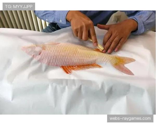 霞浦海钓赛期间展示鱼拓非遗技艺,深化海洋文化与体育融合 霞浦海钓赛期间展示鱼拓非遗技艺,深化海洋文化与体育融合